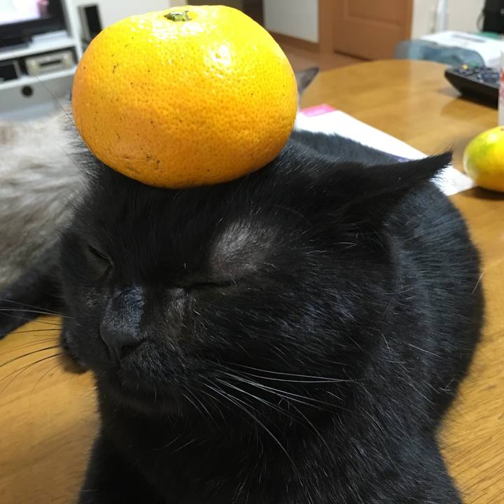 E328340f 9927 4d3d 932e 204f52345426