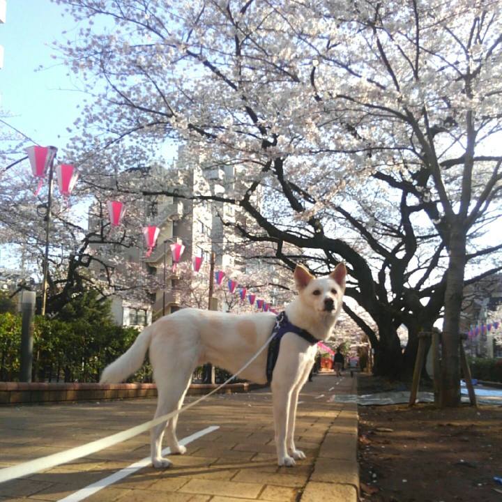 E3284272 8b15 4b65 9a68 d1438399c85f