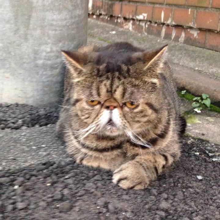 E32882a9 a44f 4a96 9806 52bcbc8e74fb