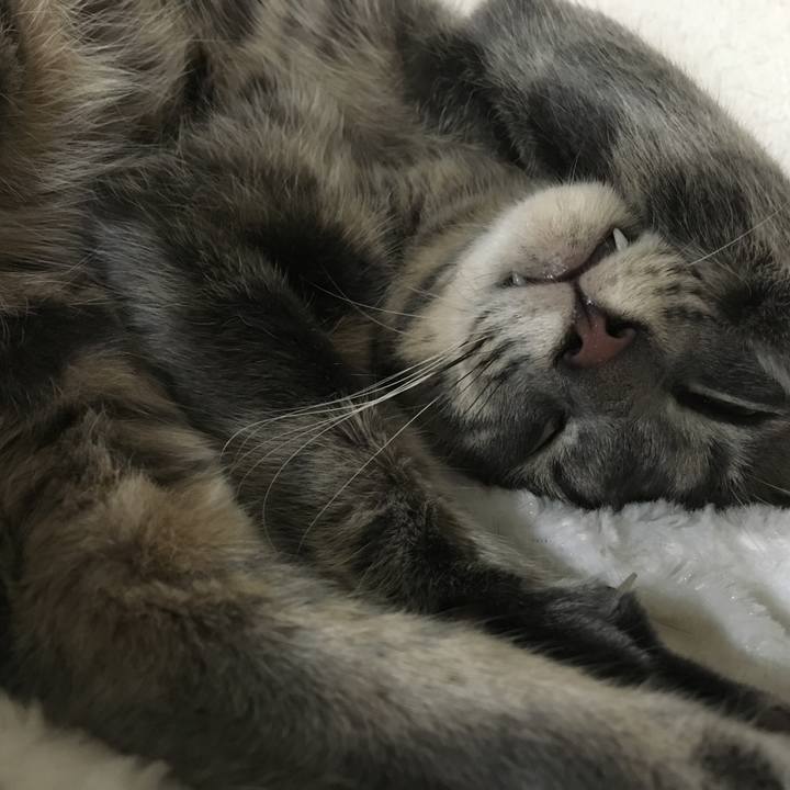 E329008a c8d4 46b9 b05d 5e0628d122ca