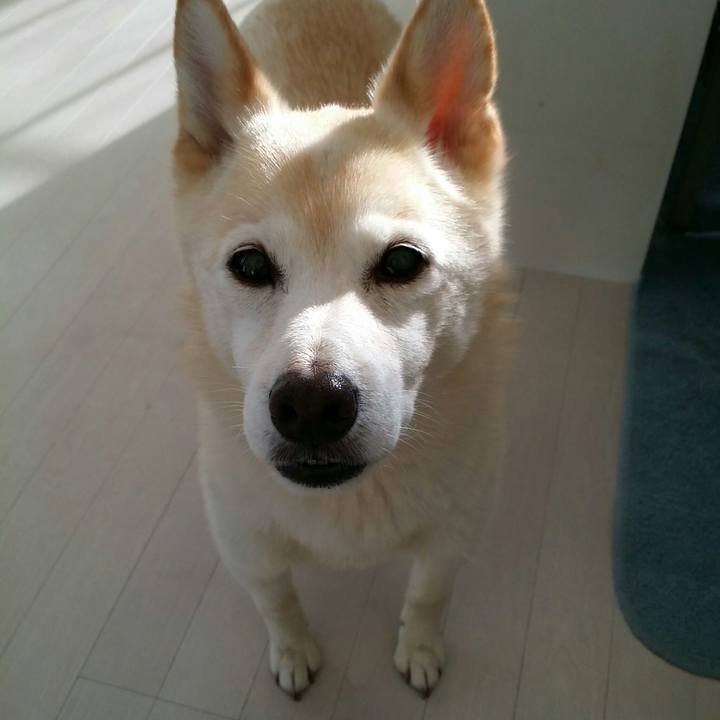 E32939a3 bbdc 4df1 8438 4b3c8b516456