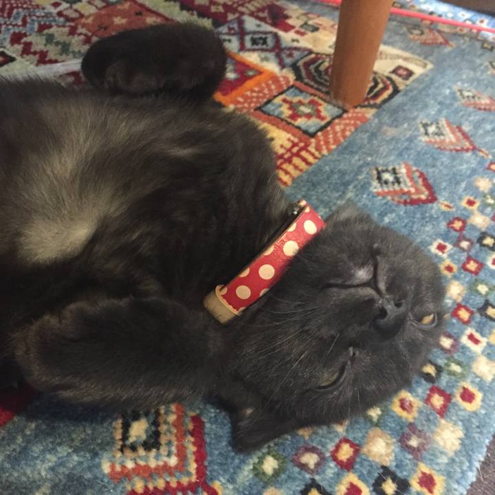 E32959f6 cd3a 4038 b4d8 483a9b80a7cd