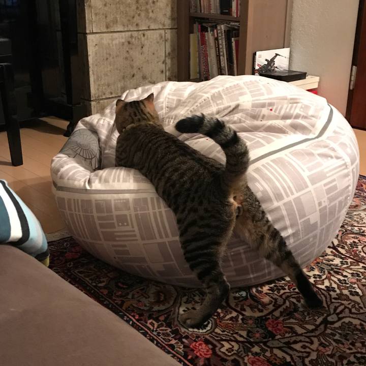 E3299479 3b67 4dd2 9887 302b6e760305