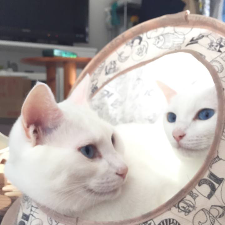 E3299598 2e39 4970 b76c a485fa69d1a3