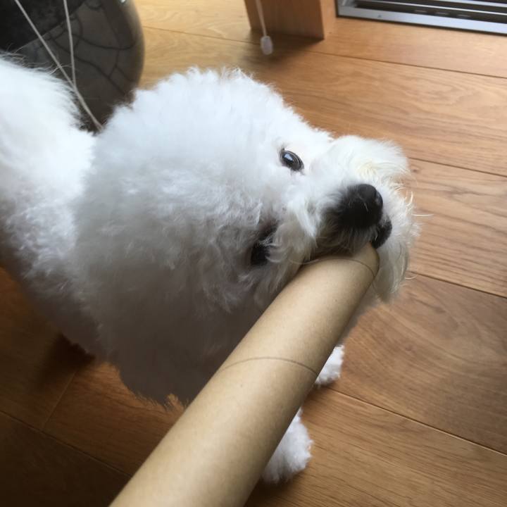 E32a2c7a 919b 438e 9c7d 4a7abba982cb