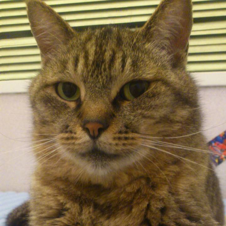 E32a2f7e d5ba 468e af80 42801d4b19d2