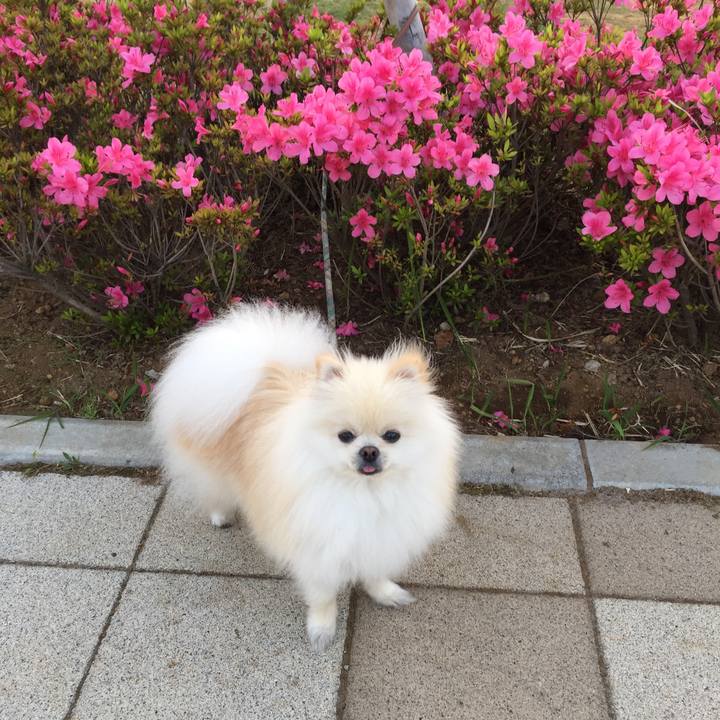 E32ad151 1efb 4440 9794 53cca8c479f4