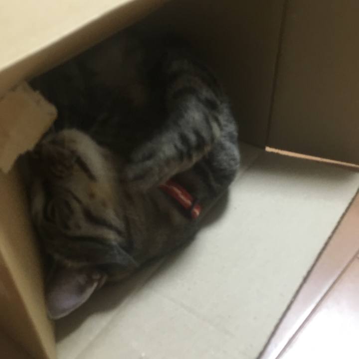 E32b4ee0 0ccb 45f2 89fa e65447aef9c1