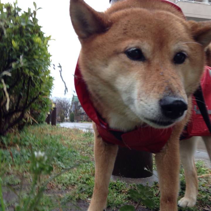 E32b5ef6 1fc6 41c4 8e08 7972c3997f57