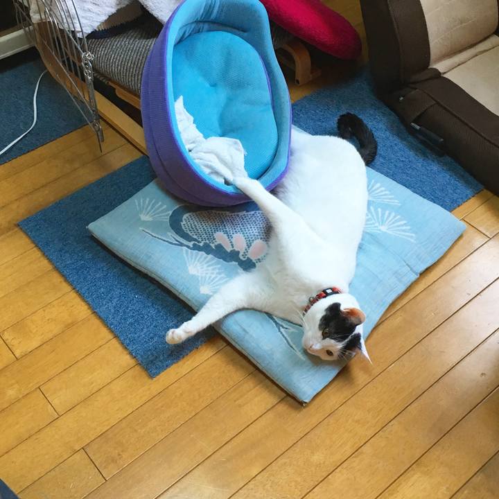 E32b7430 80e6 4f04 83b9 ef20c0cd45c6