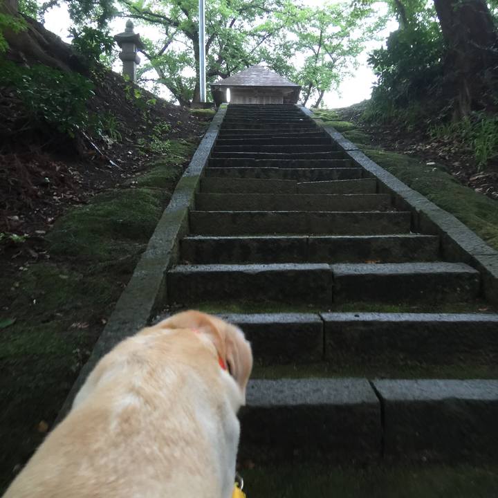 E32bc32d 08b6 4699 8f3b 1c0849972404