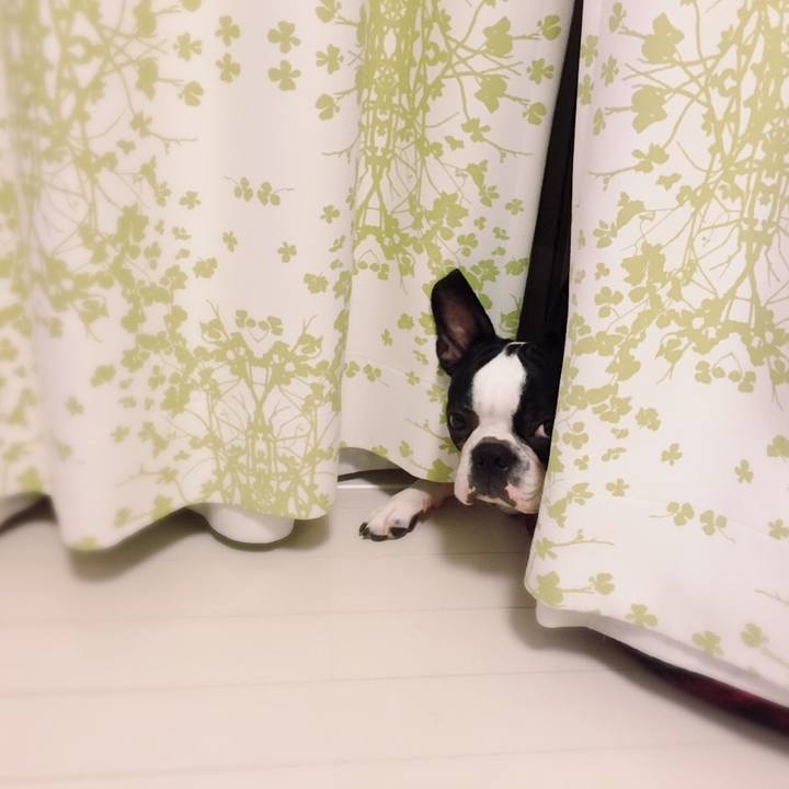 E32becf0 a3cb 465f a64c d8c3a205e9ee