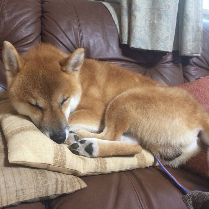 E32bf15a d21b 4dd3 b6aa c807e8520840