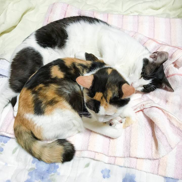 E32c6cec 9336 4996 9bb8 1d5b2809cc92