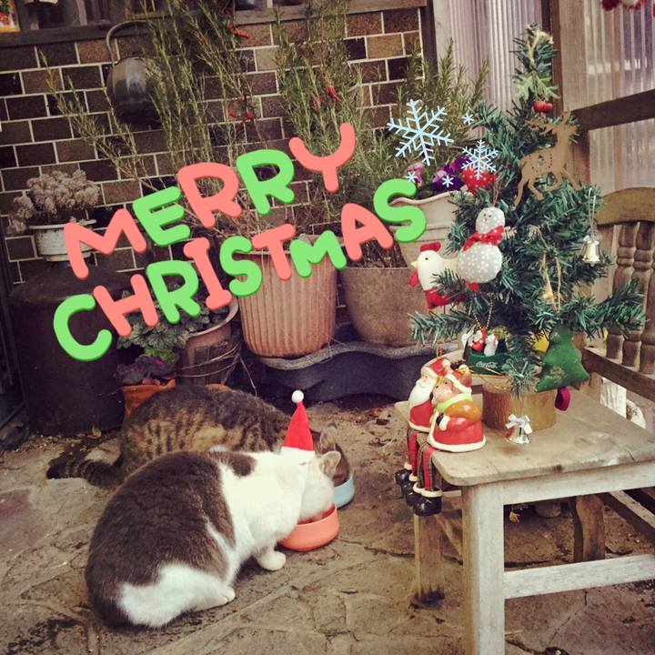 E32cd904 b79f 4b9d a3ad fafd666e1088