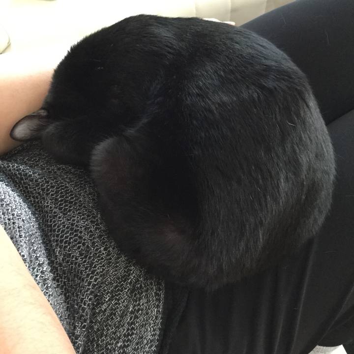 E32cdf3b 6774 45b2 ba1c f5035ebd97b6