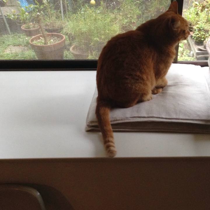 E32ce10e 562e 47dd abd3 7cfbc92d2ee4