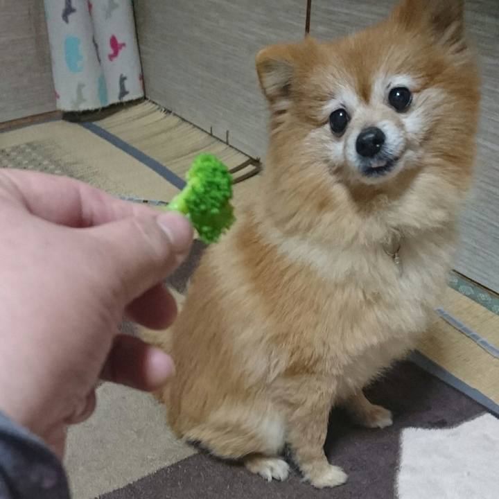 E32d242a 9f45 4dd2 8897 4376d538d411