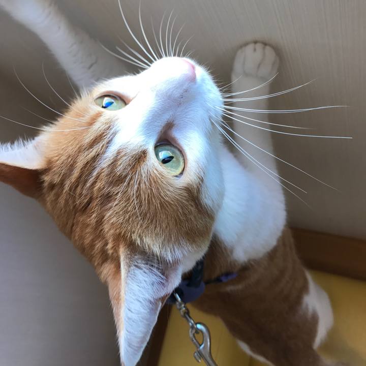 E32d2752 2bc7 4fd2 8c72 9e8bf5238a4c