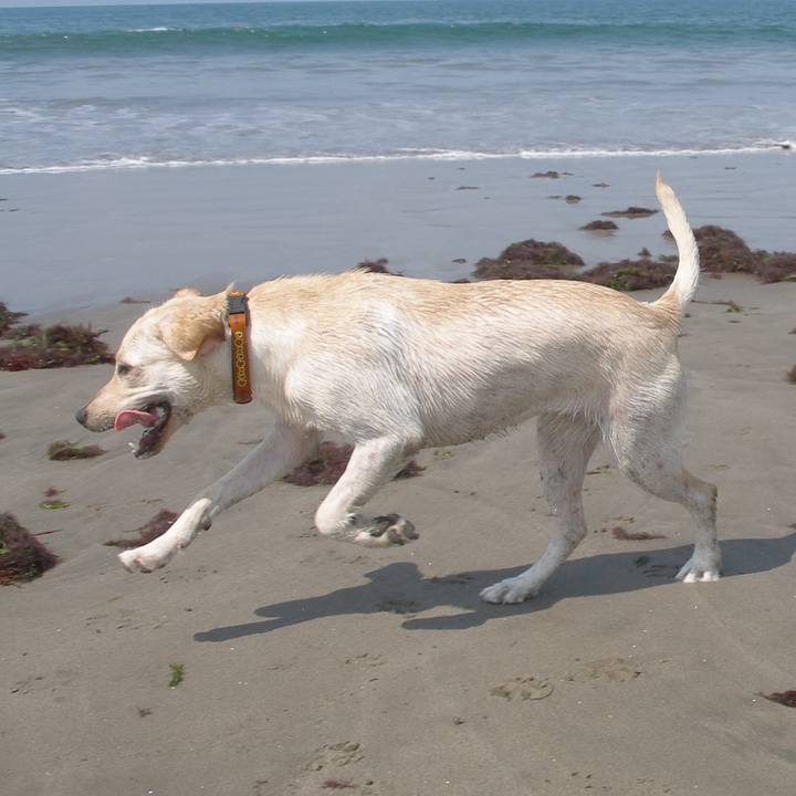 E32df879 d1cd 4a9c 955f bef89a162af5