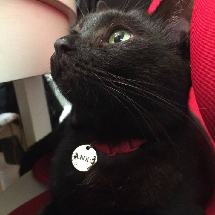 E32e3cf2 175f 4220 9138 013d3bb3155f