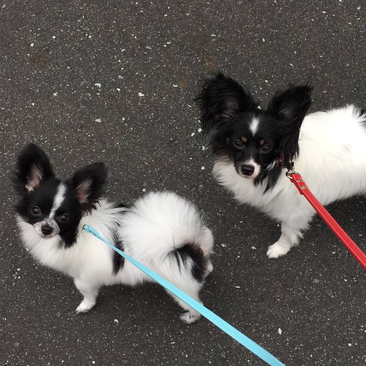 E32e8abe 6cfd 48e2 b970 c277ee375e67