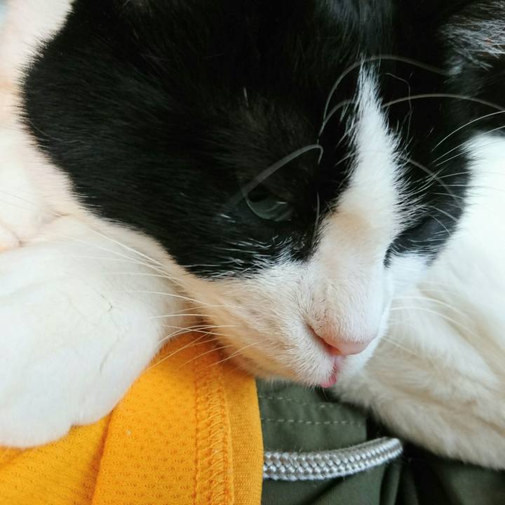 E32ee1e8 b27e 4fa1 97d7 75ae695a027b