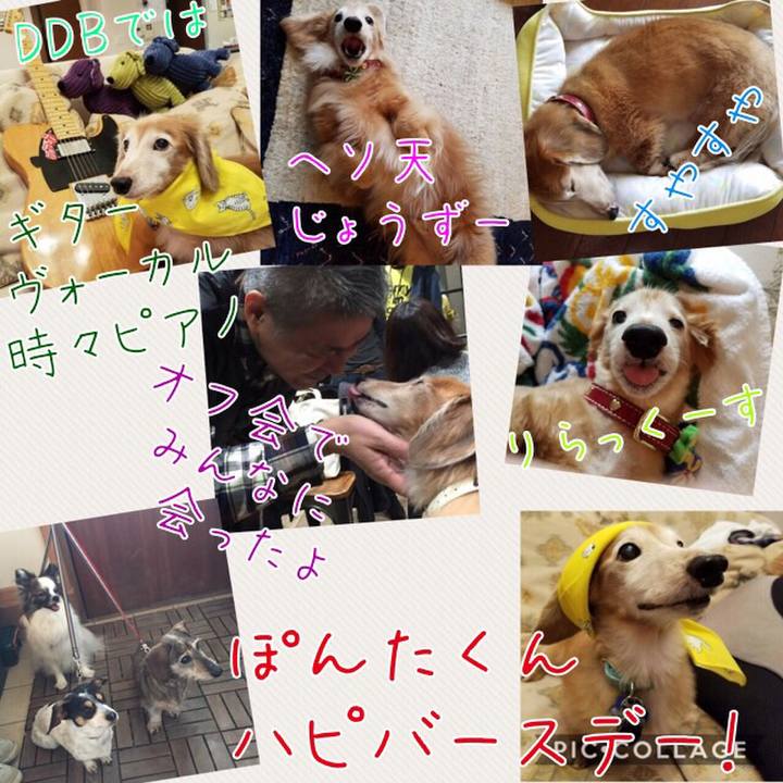 E32f0c81 5546 4e5b b840 a7bc303c34ed