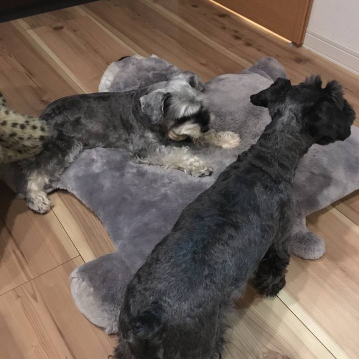 E32f44f4 58a6 4a85 a0b6 1cfd6154ea04