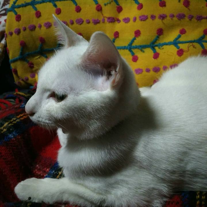 E3300191 c7ed 4213 842d 80ba458cf4bb