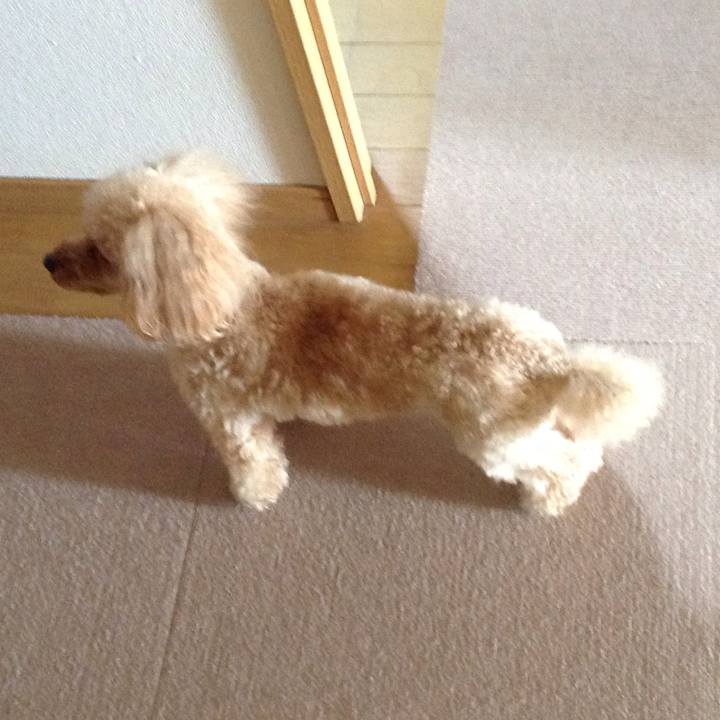 E331bbbe c954 4b03 9adb fe9dd2d0735a