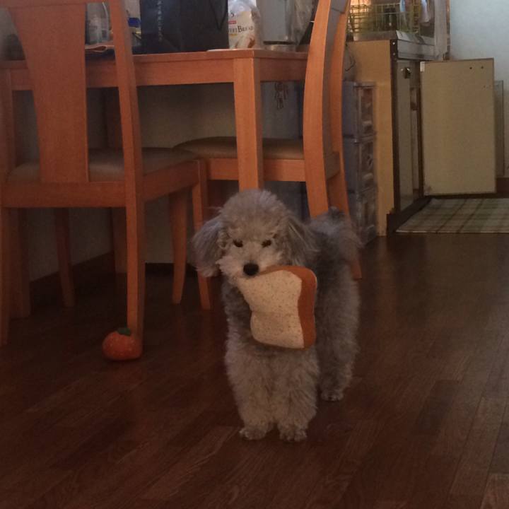 E332656d 64b5 4f6e 82f3 9415024f118a