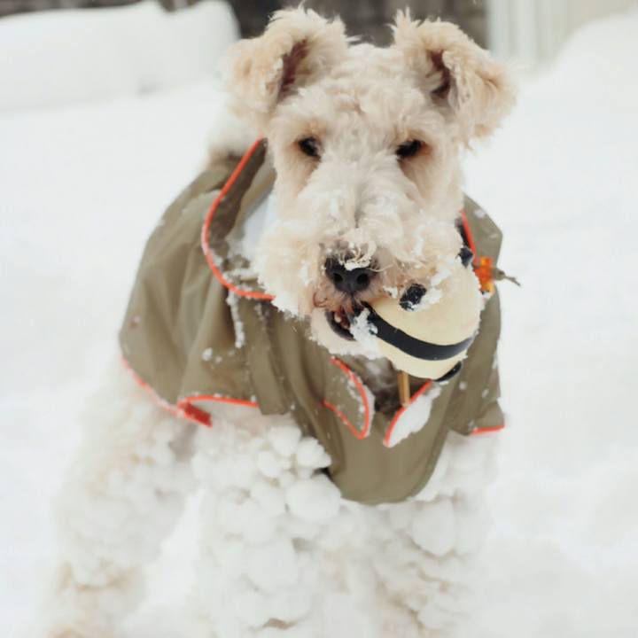 E3326fa1 c614 486c ade7 6c21484a44dc