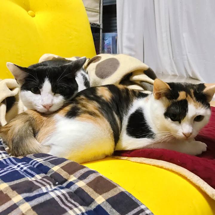 E332b703 cde0 4a62 aed8 1ef3fe42bcba