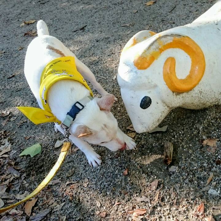 E332d947 079f 4f15 962f 17ab4bf7d63b