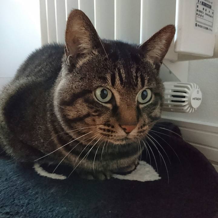 E332e58b b0ec 4dff 9791 1d1e78f0017c