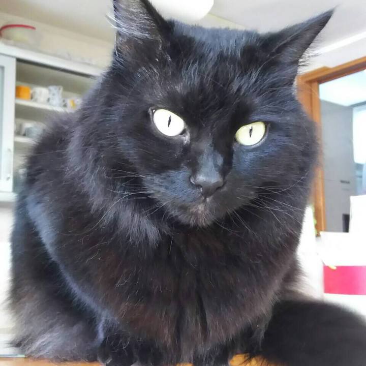 E332f380 974f 49b1 a42f da44f49d615f