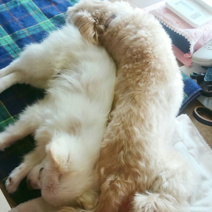 E333ee23 fb3a 4043 a58e bdaa7626b9ef