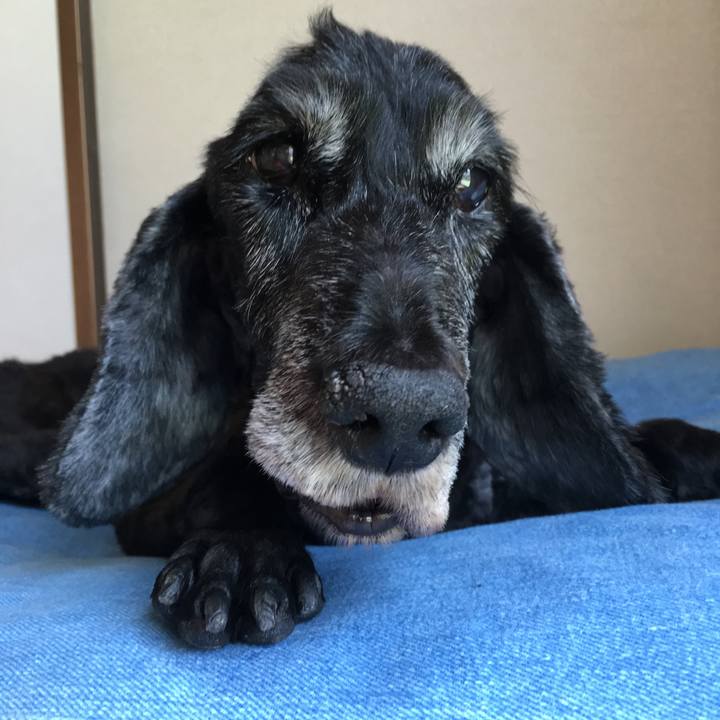 E335501b f414 4d41 84c1 1932772fb3ba