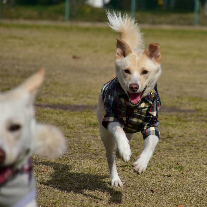 E335ecc8 9701 474f 82da a96c92756f8e