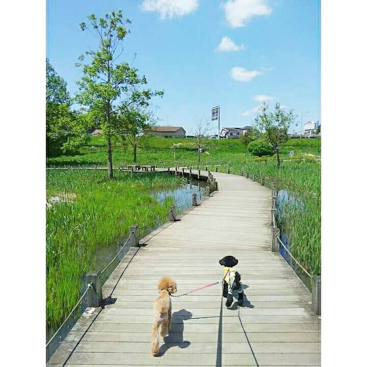 E3366027 a064 42e5 8f22 1629632d803c