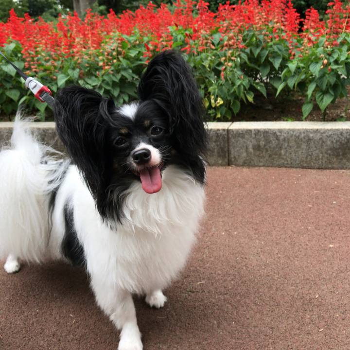 E336deb5 81fb 4dbb a3f3 e7feeb1af7aa