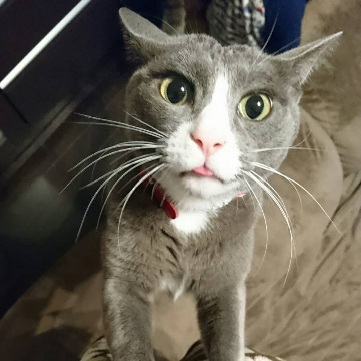 E337a2ab 2ed5 40dc acfd d5fc0c5b6fb0