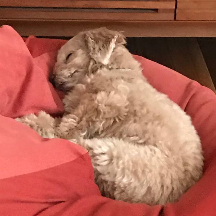 E337cef8 a202 4cc4 8bcf e89ec2ebeffe