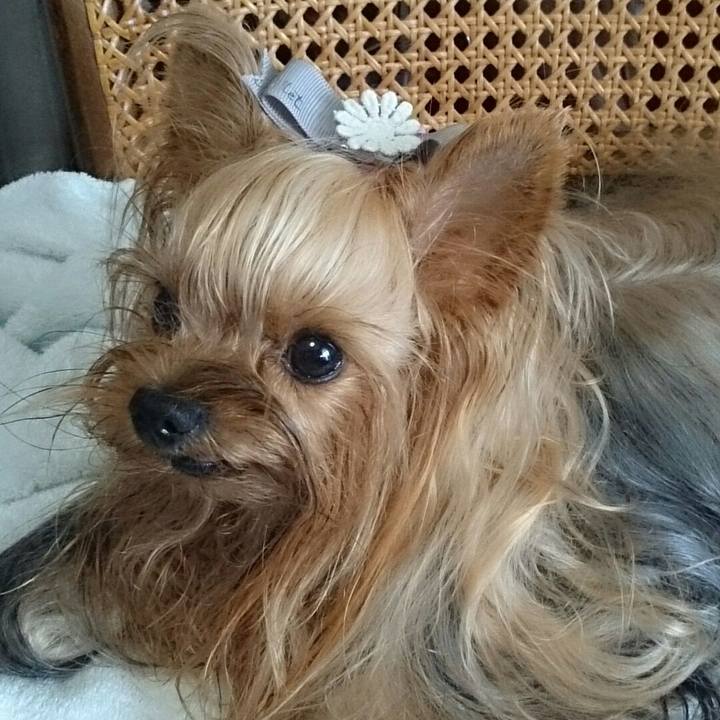 E337f06a 8079 4809 9c56 0a7407abd8b9