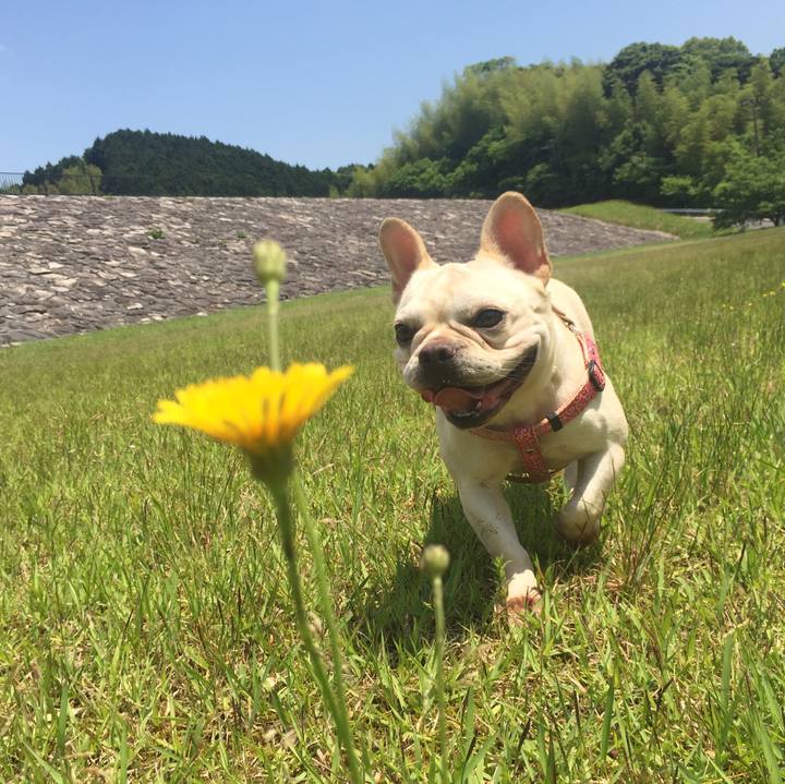 E3385ff9 fda0 42a9 9dde db48aabfabf5