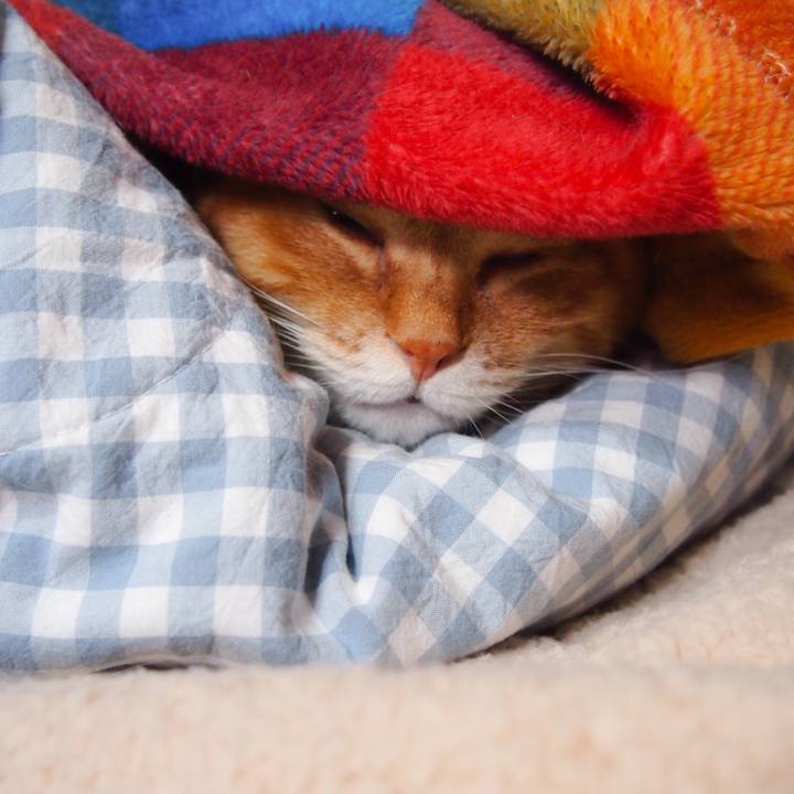 E338ecda 9124 4fc9 9b5d a323f0a2bb3a