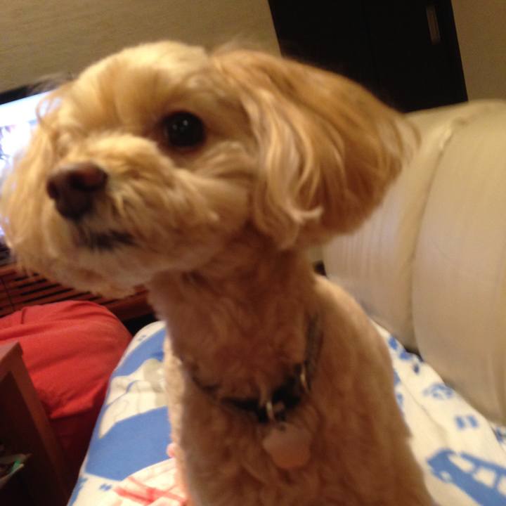 E338efd2 9837 4d2f aaae cb56ccaebdcf