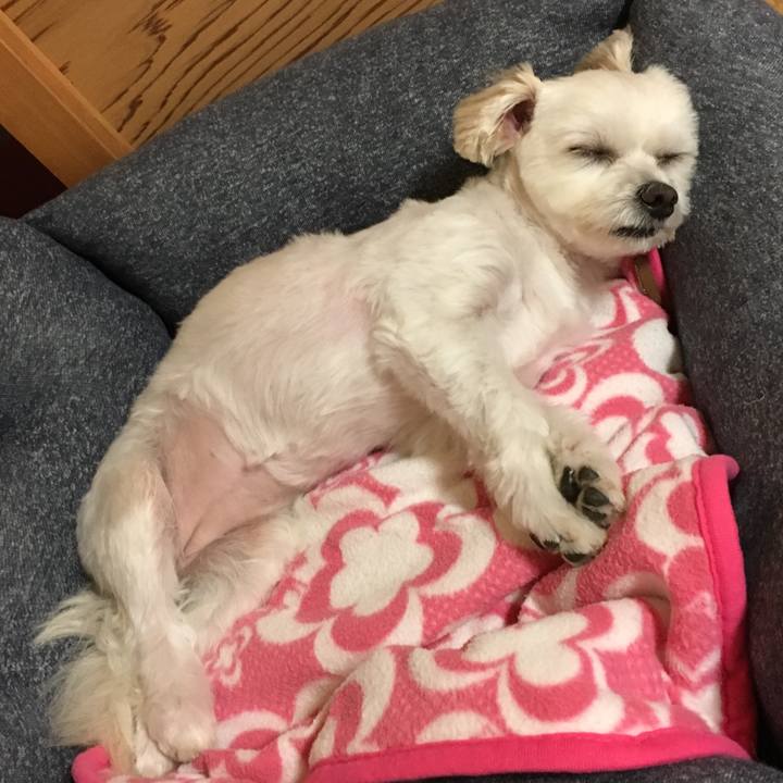 E3390470 dd18 47ef bbb8 aba853422d41