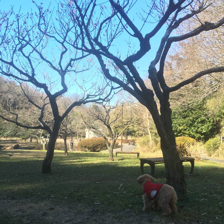 E3399ad3 3623 417d 8114 dbba8d5f556b